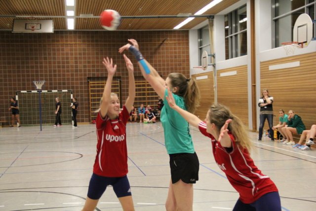 2016_01_23 Landesliga Frauen